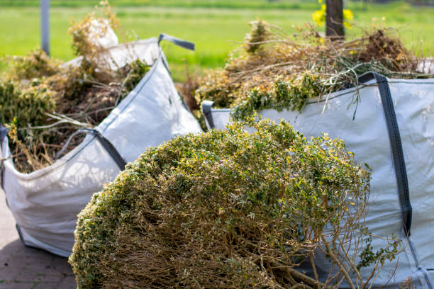 Trash Removal Near Me in Hardinsburg, KY